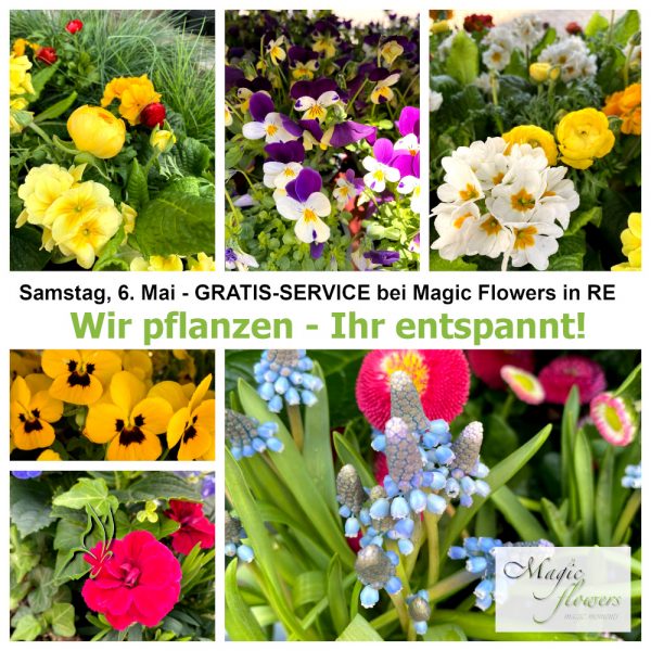 Gratis-Service am 6. Mai 2023 bei Magic Flowers in RE | Wir pflanzen, Ihr entspannt.